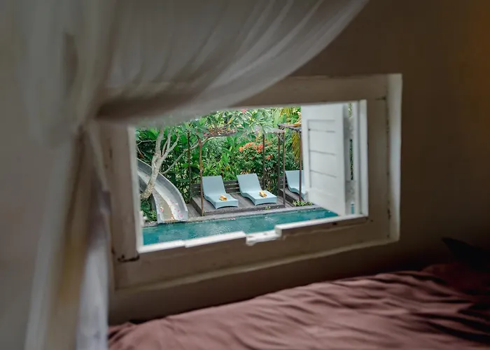 The Onion Collective Hostel